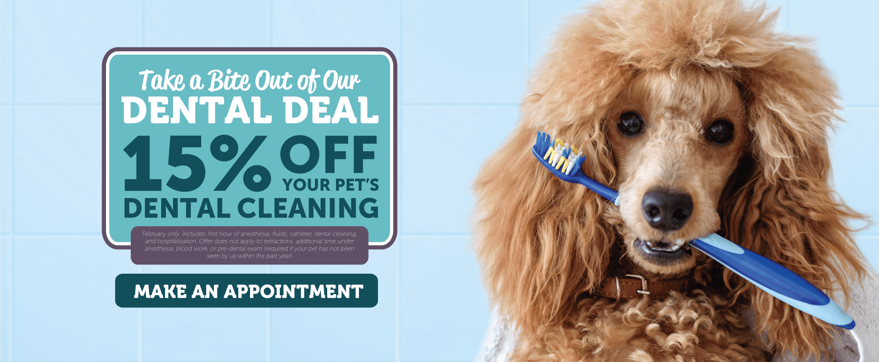 Take a Bite Out of Our Dental Deal