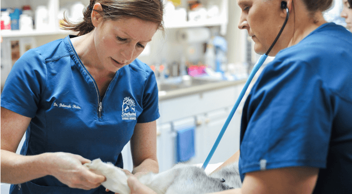 Urgent Care for Existing Clients